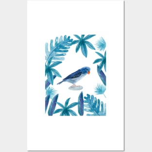 Blue Pacific Parrotlet with tropical leaves Posters and Art